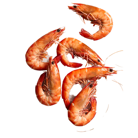 Fish in the Family Cooked King Prawns XL min 500g