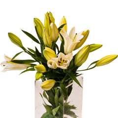 Flowers Asiatic Lilies Bunch