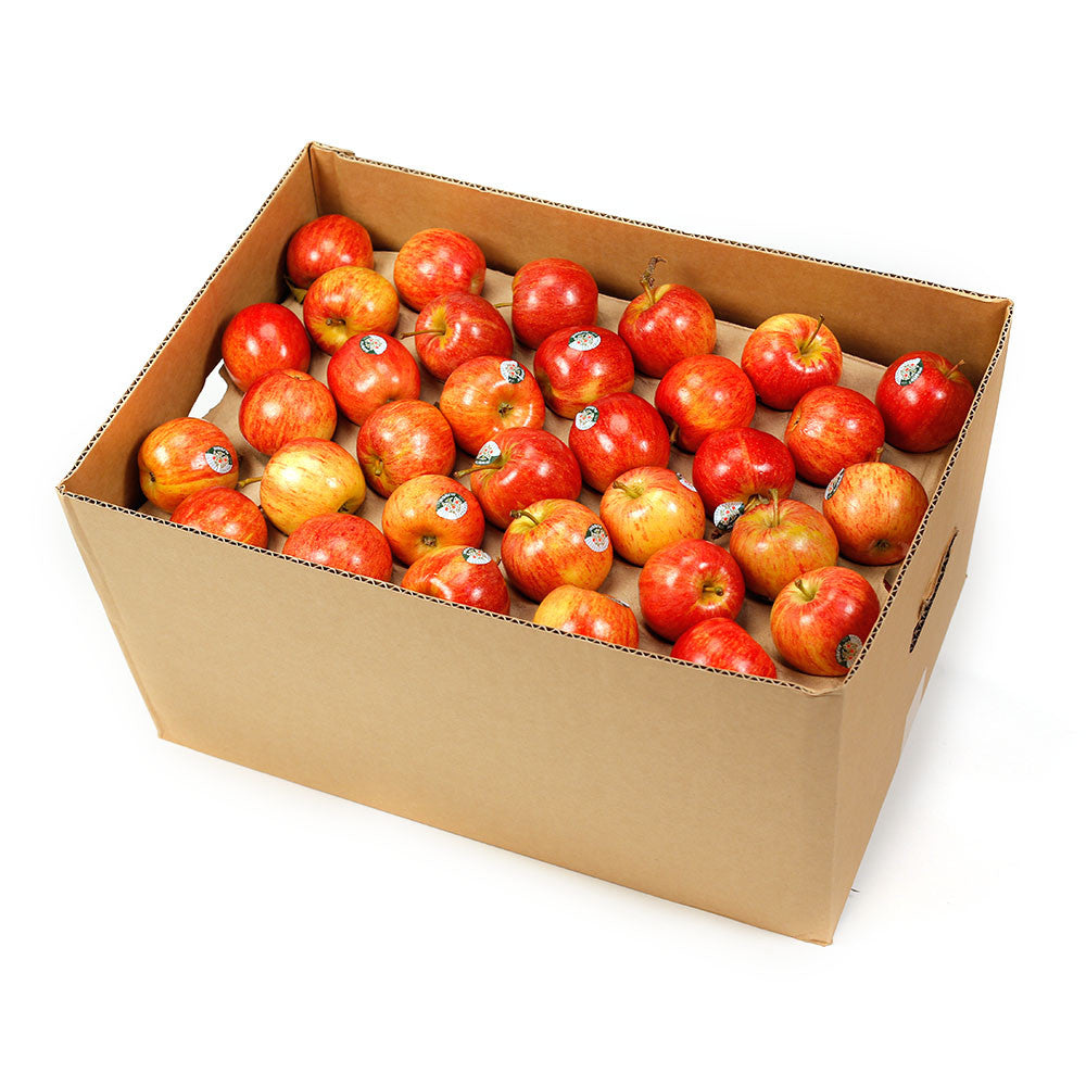 Apple Gala Imperfect Box 12kg