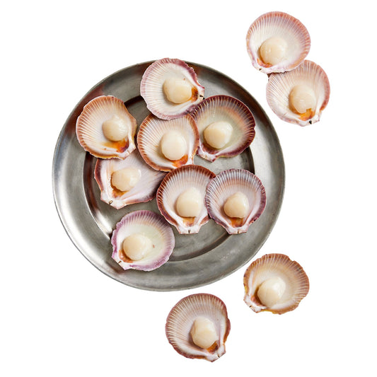 Fish in the Family Half Shell Scallops Roe Off 1 doz