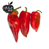 Chilli Bull Horn Imperfect Each
