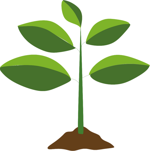 SUPPLY CHAIN DRIVEN BY NATURE