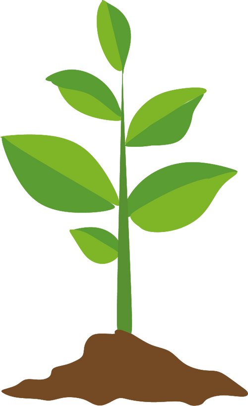 SUSTAINABLE PACKAGING