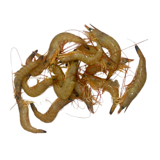 Fish in the Family Raw Endeavour Prawns min 500g