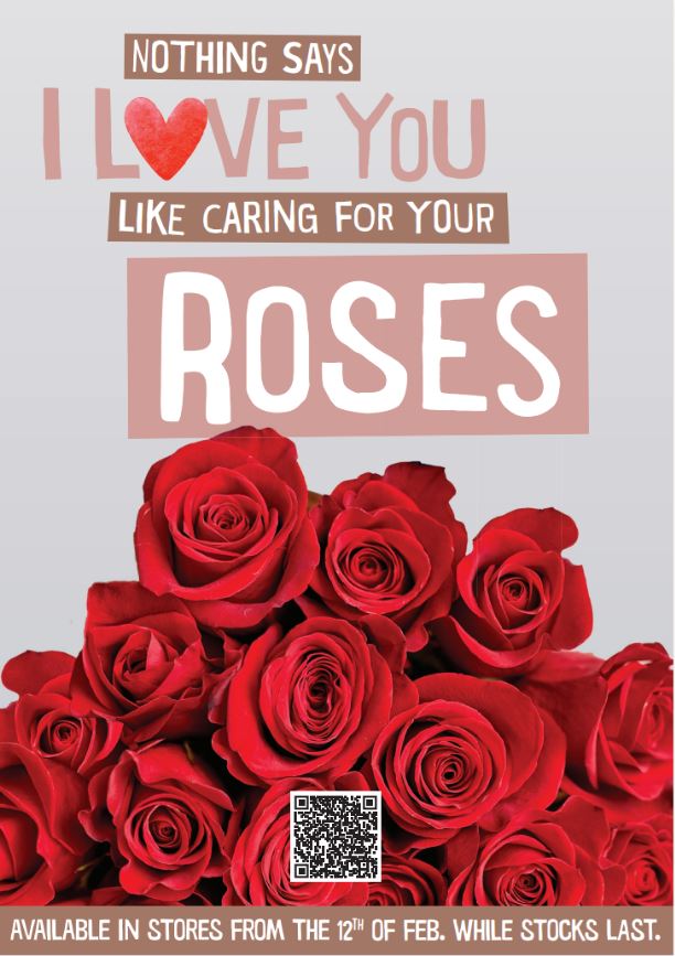Flowers Deluxe Red Rose Bouquet