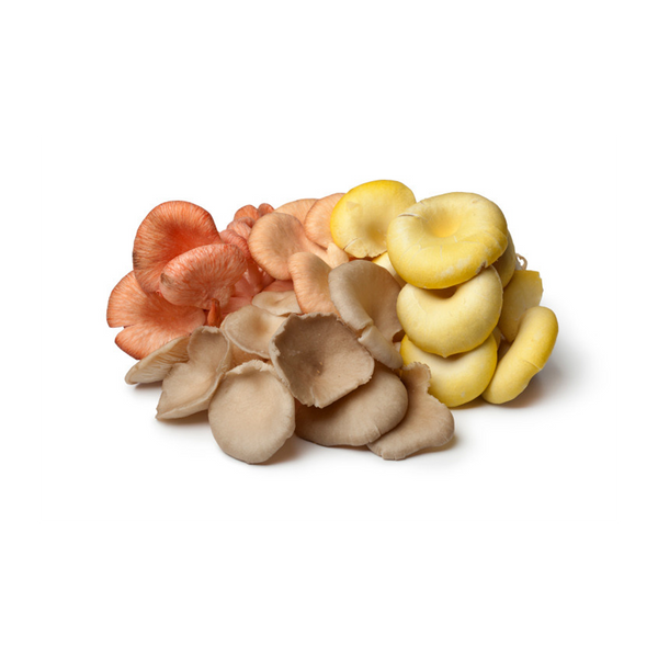 Mushroom Oyster Medley LA 150g