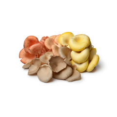 Mushroom Oyster Medley LA 150g