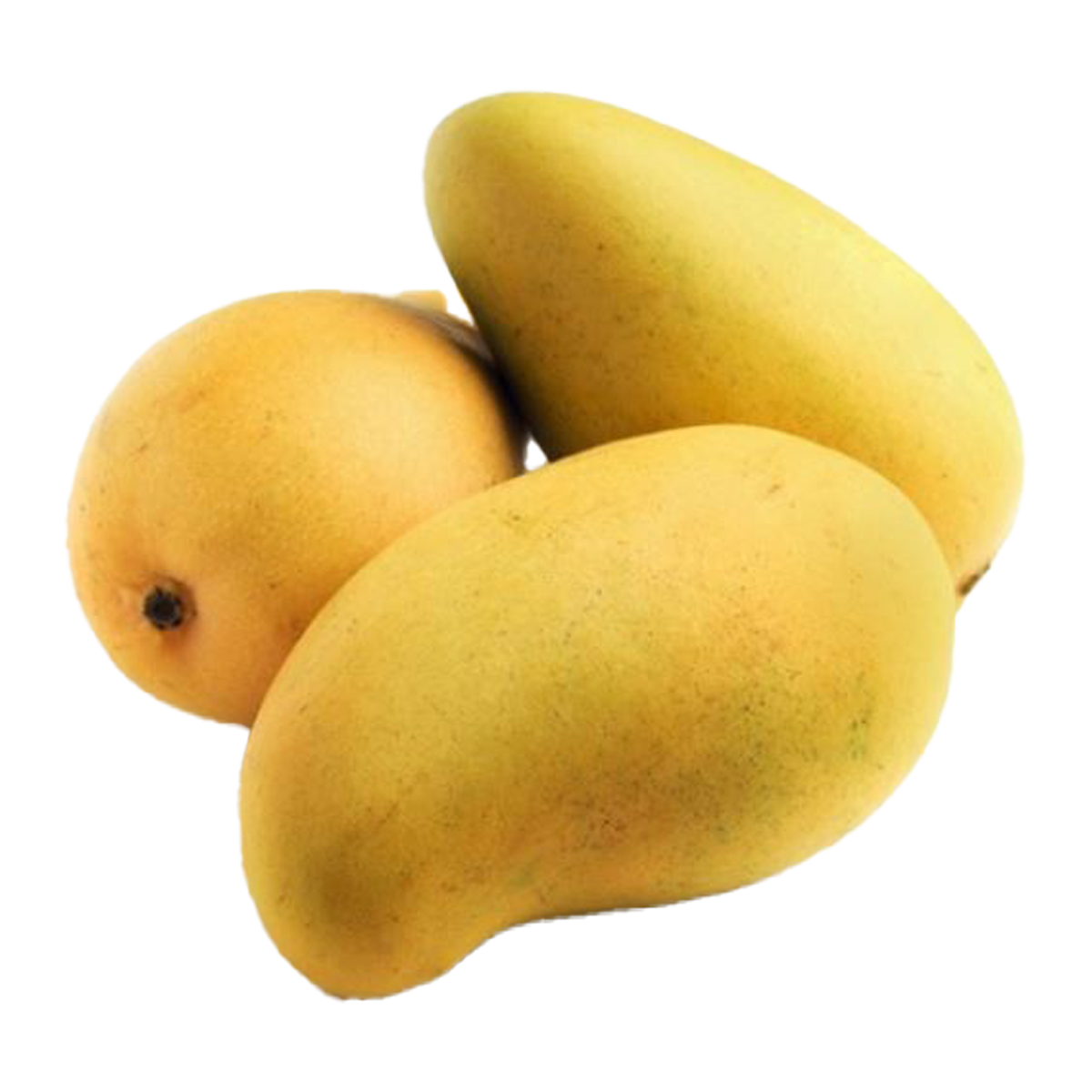 Mango Dragon Tooth Each