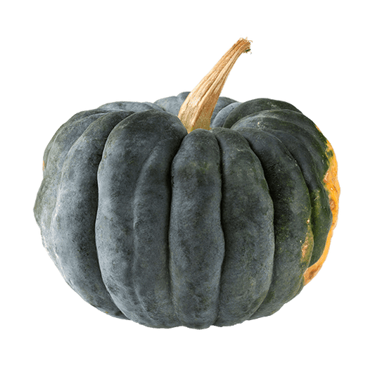 Pumpkin Potkin