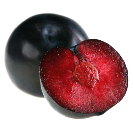Plum Blood Each