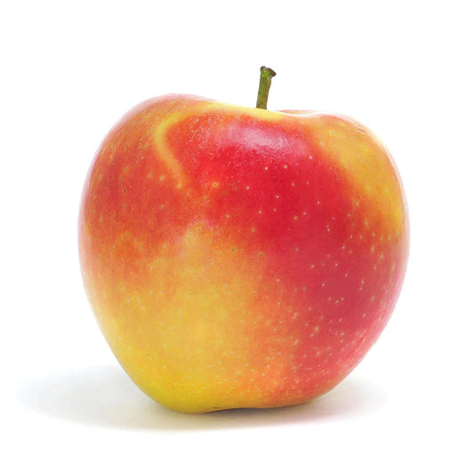 Apple Ambrosia Lunchbox Each