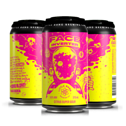Little Bang Brewery Face Inverter Pale Ale 4x375ml