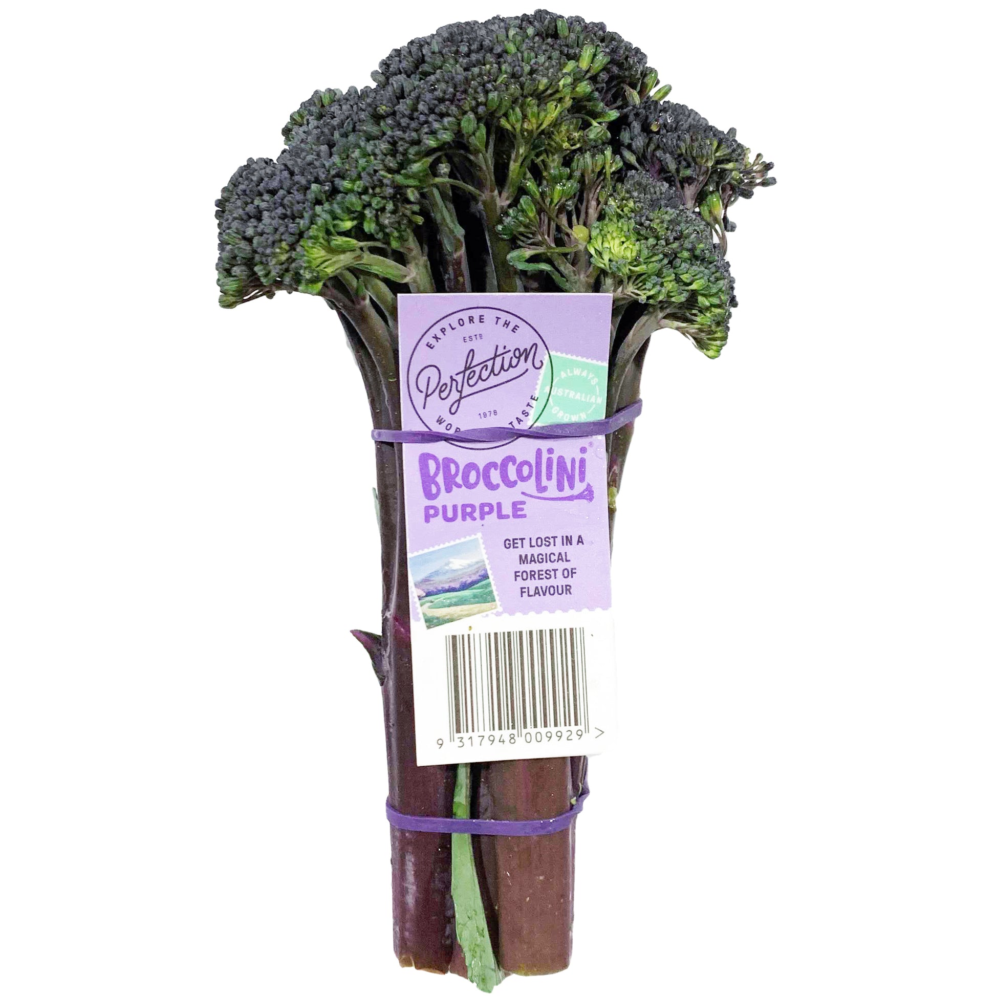 Broccolini Purple | Harris Farm Online