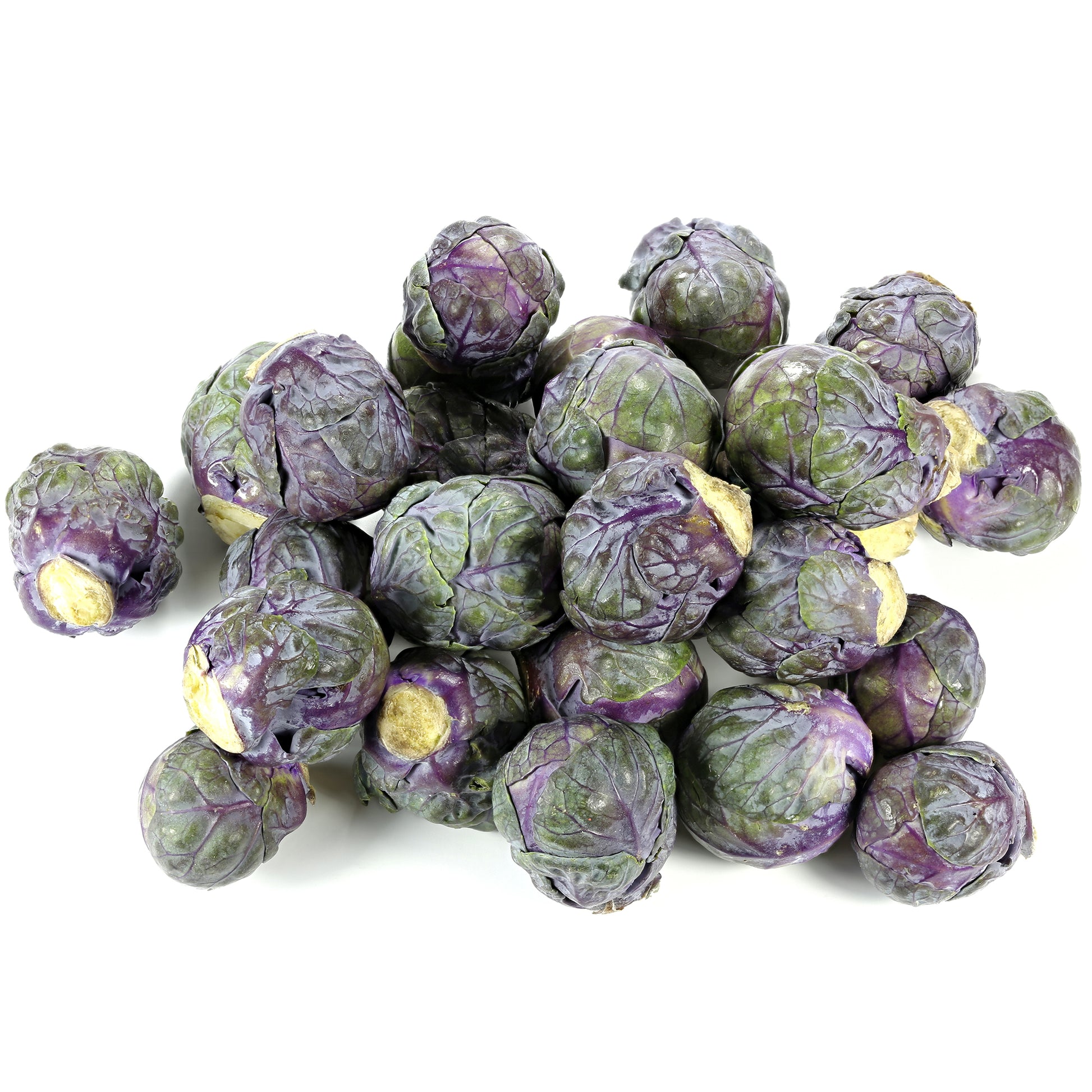 Brussel Sprout Red | Harris Farm Online
