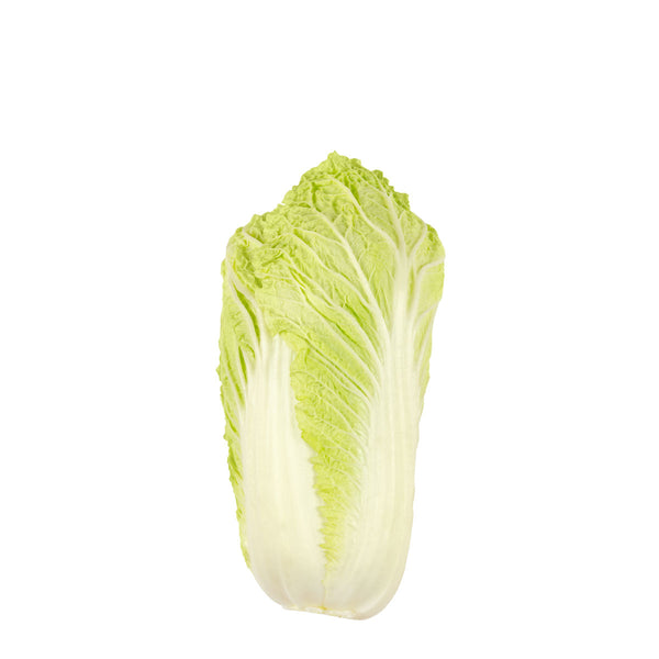 Chinese Baby Cabbage - Wombok | Harris Farm Online