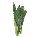 Tuscan Kale Organic | Harris Farm Online