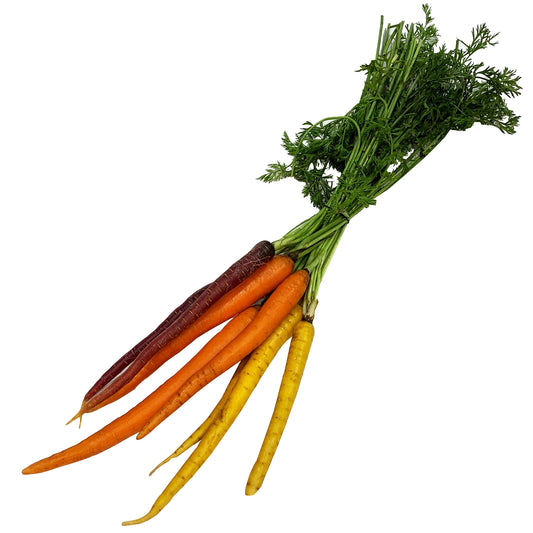 Carrot Rainbow Dutch bunch