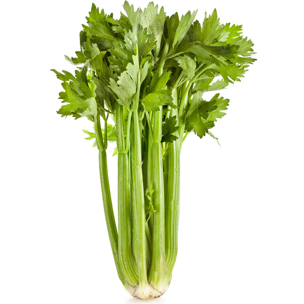 Celery | Harris Farm Online