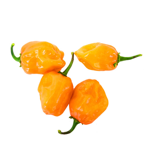 Chilli Orange Habanero | Harris Farm Online