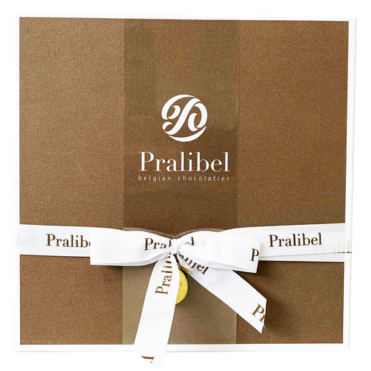 Pralibel - Belgian Dark Chocolate 50% - Assortment (17 pieces, 210g)