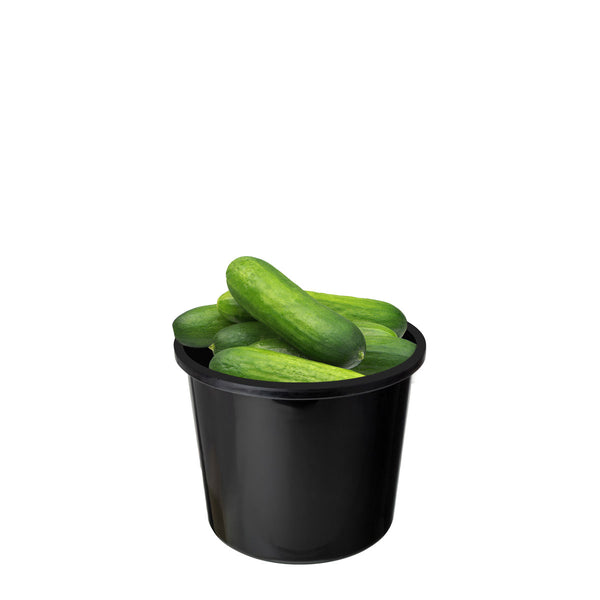 Cucumber Qukes Bucket | Harris Farm Online