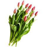 Flowers Tulips Red 10 Stem Bunch | Harris Farm Online
