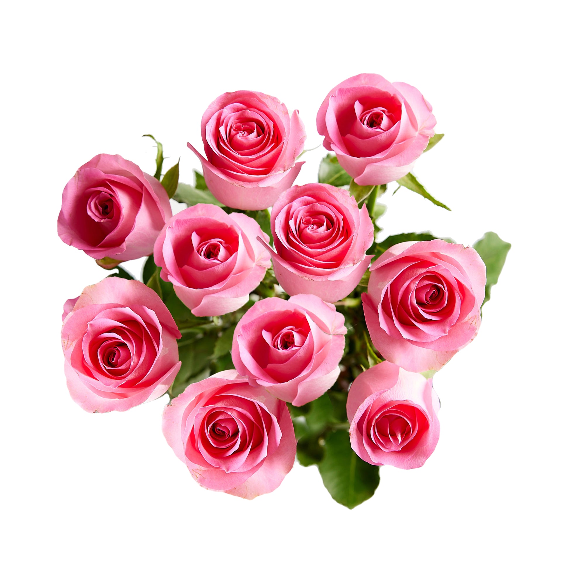 Flowers Roses Light Pink 10 Stem Bunch | Harris Farm Online