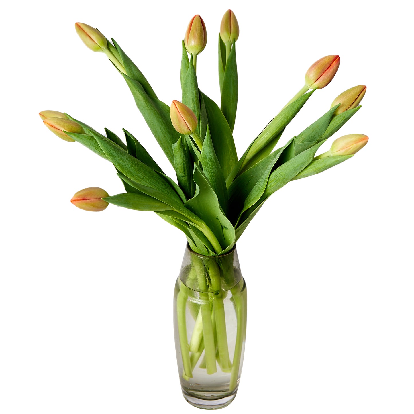 Flowers Tulips Orange 10 Stem Bunch | Harris Farm Online