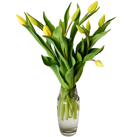 Flowers Tulips Yellow 10 Stem Bunch | Harris Farm Online