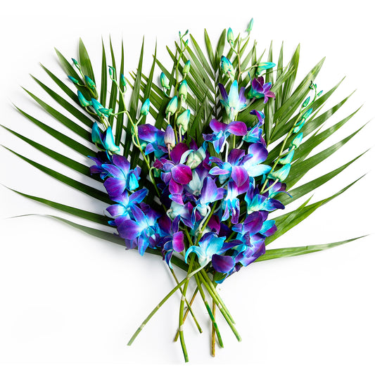 Flowers Singapore Orchids Blue | Harris Farm Online