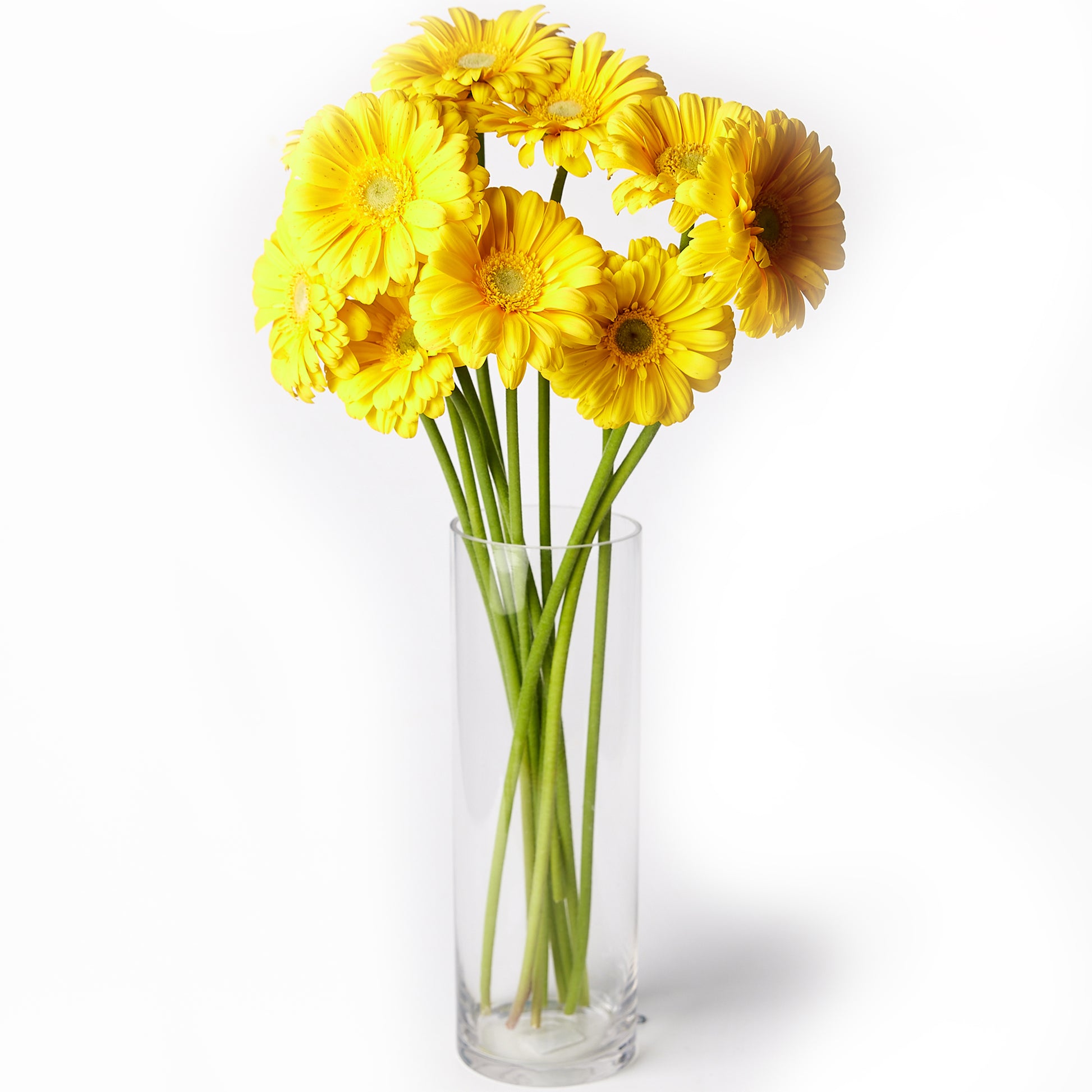 Flowers Gerberas Yellow | Harris Farm Online