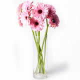 Flowers Gerberas Light Pink | Harris Farm Online