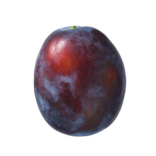 Plums Aussie Bell | Harris Farm Online