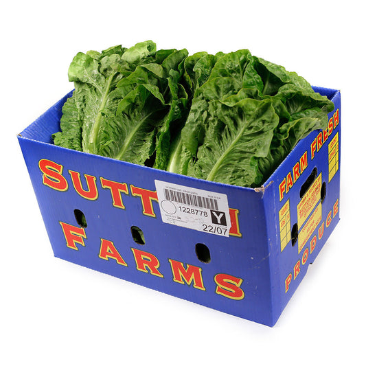 Lettuce Cos (box 10) , Wholesale - HFM, Harris Farm Markets
