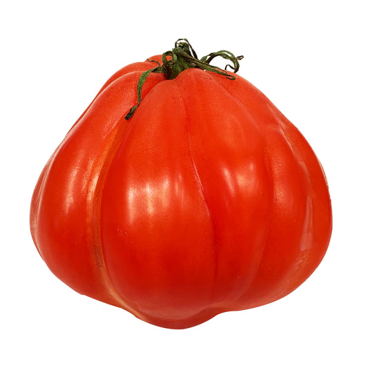 Tomato Ox Heart Each