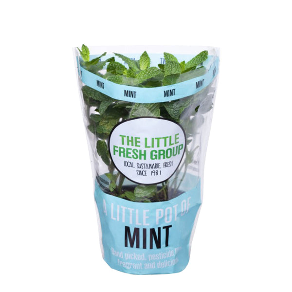 Fresh Herbs Mint Pot Each | Harris farm Online 