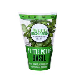 Fresh Herbs Basil Pot Each | Harris Farm Online