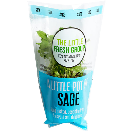 Sage Herb Pot | Harris Farm Online