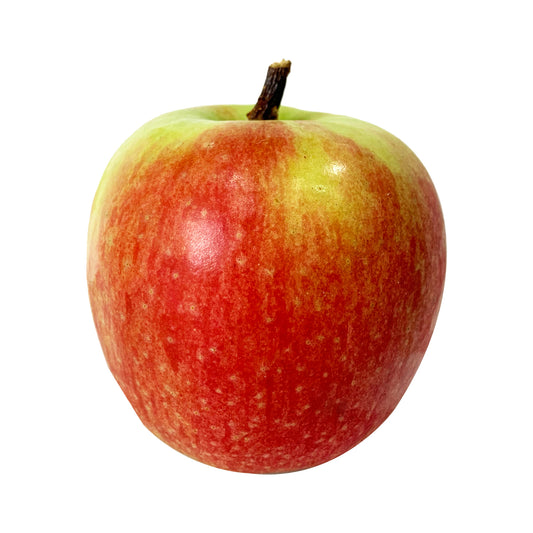 Apple Sundowner Large Each