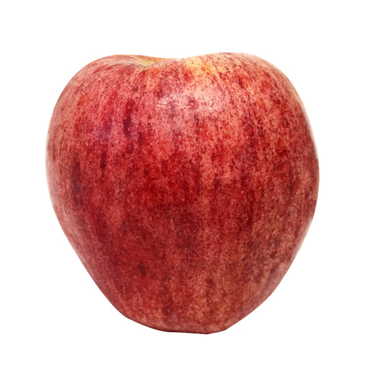 Apple Royal Gala Large Each