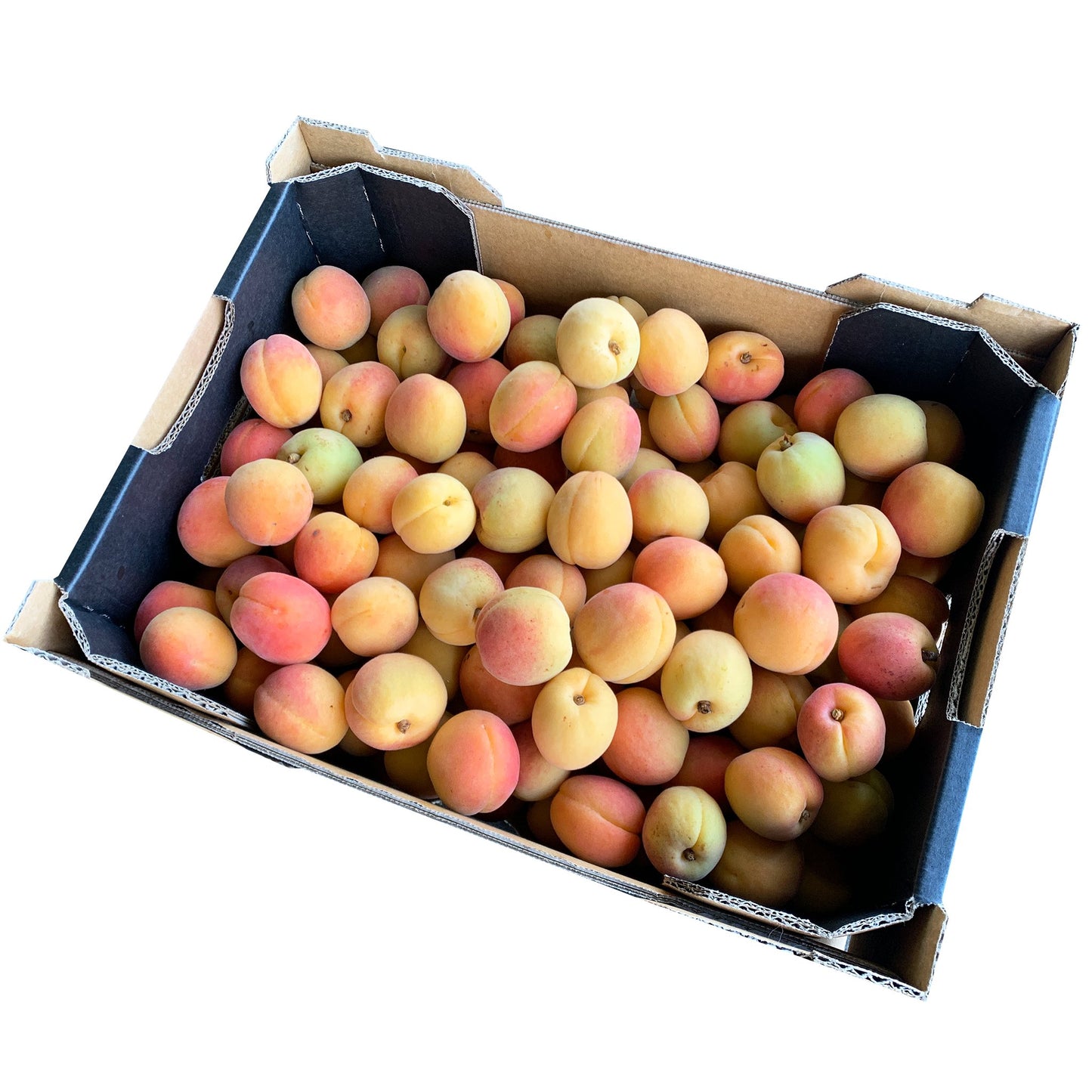 Apricot Box 3kg | Harris Farm Online