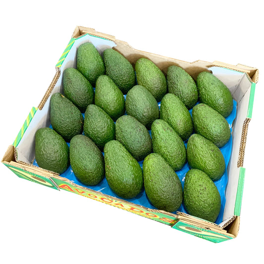 Avocado Hass Premium Tray | Harris Farm Online