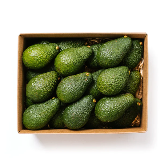 Avocadoes Small Box 5kg