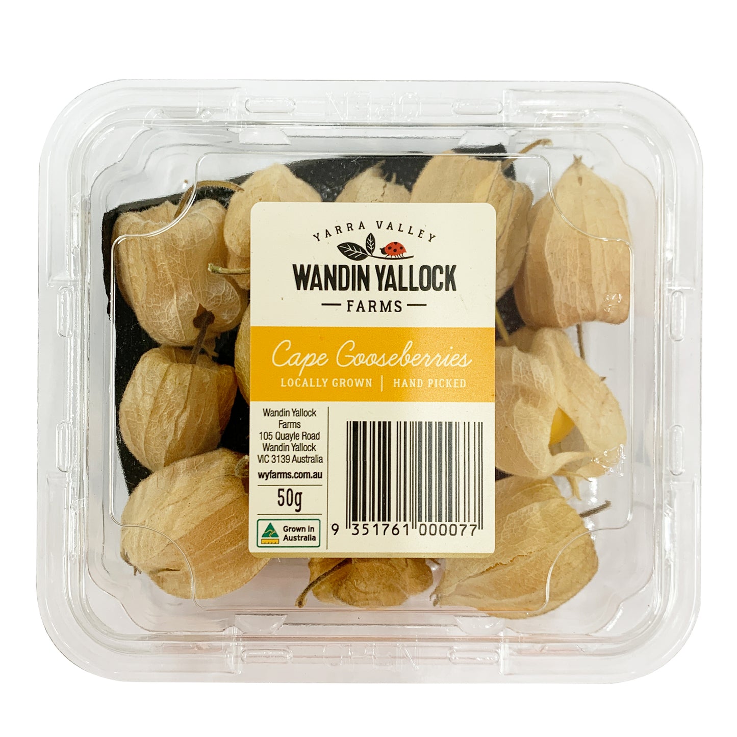 Cape Gooseberries | Harris Farm Online