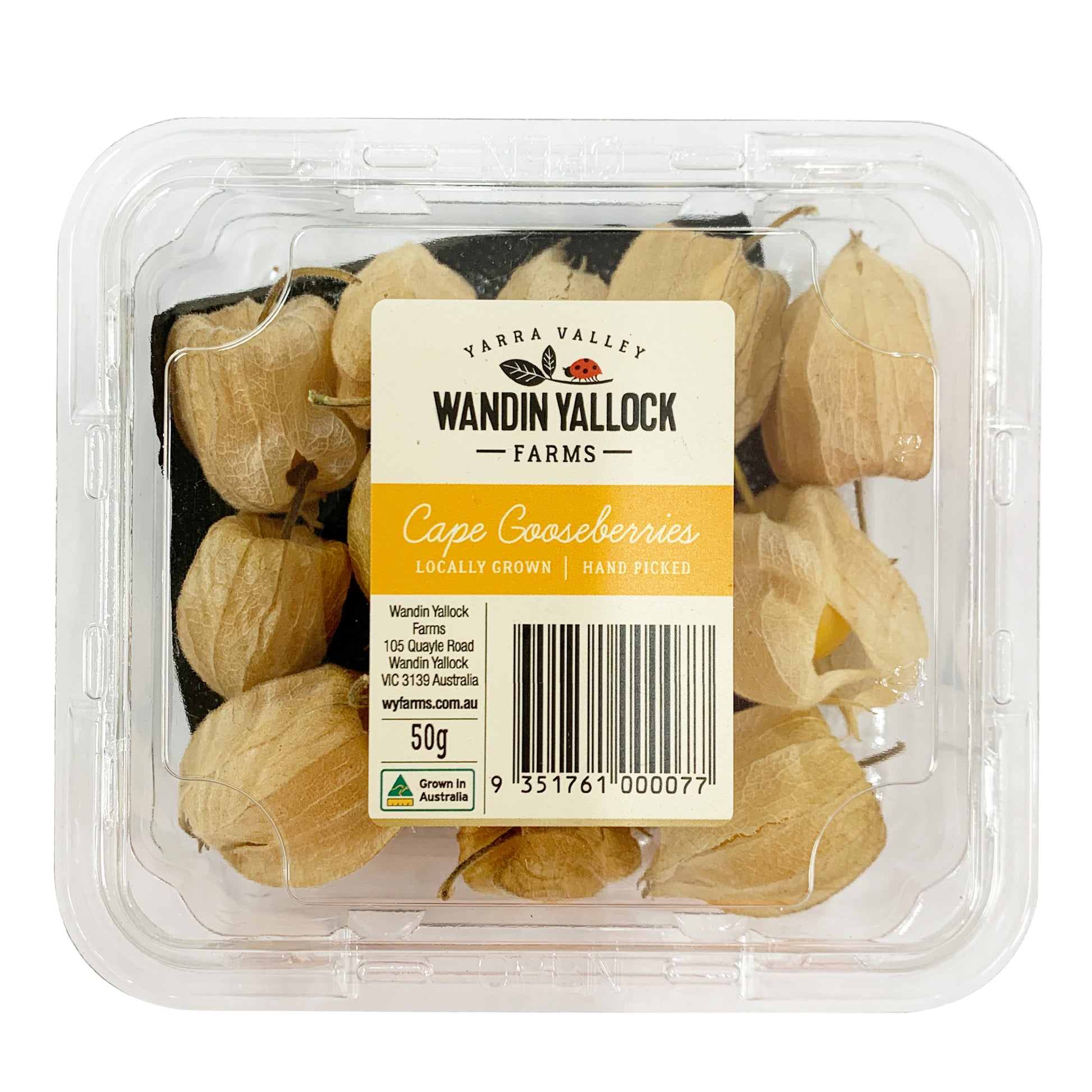 Cape Gooseberries | Harris Farm Online