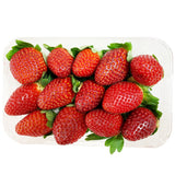 Strawberries Premium | Harris Farm Online