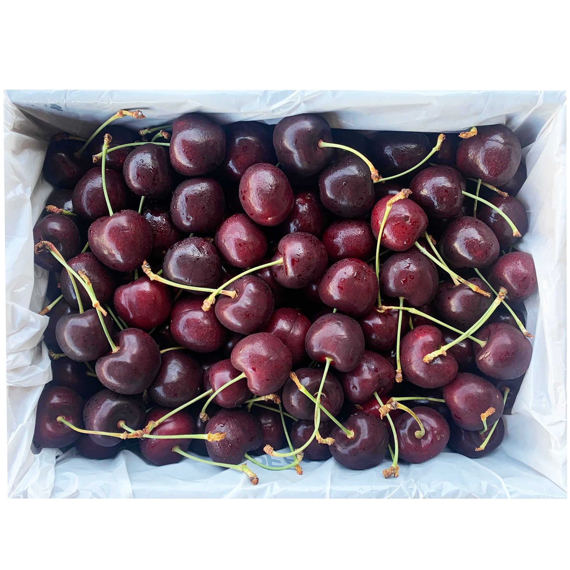 Black Devil Tasmanian Cherries Box 2kg | Harris Farm Online