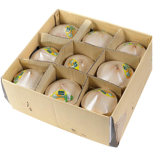 Coconuts Drinking (Case Sale) | Harris Farm Online