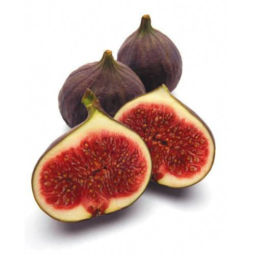 Figs Black Fresh (each)