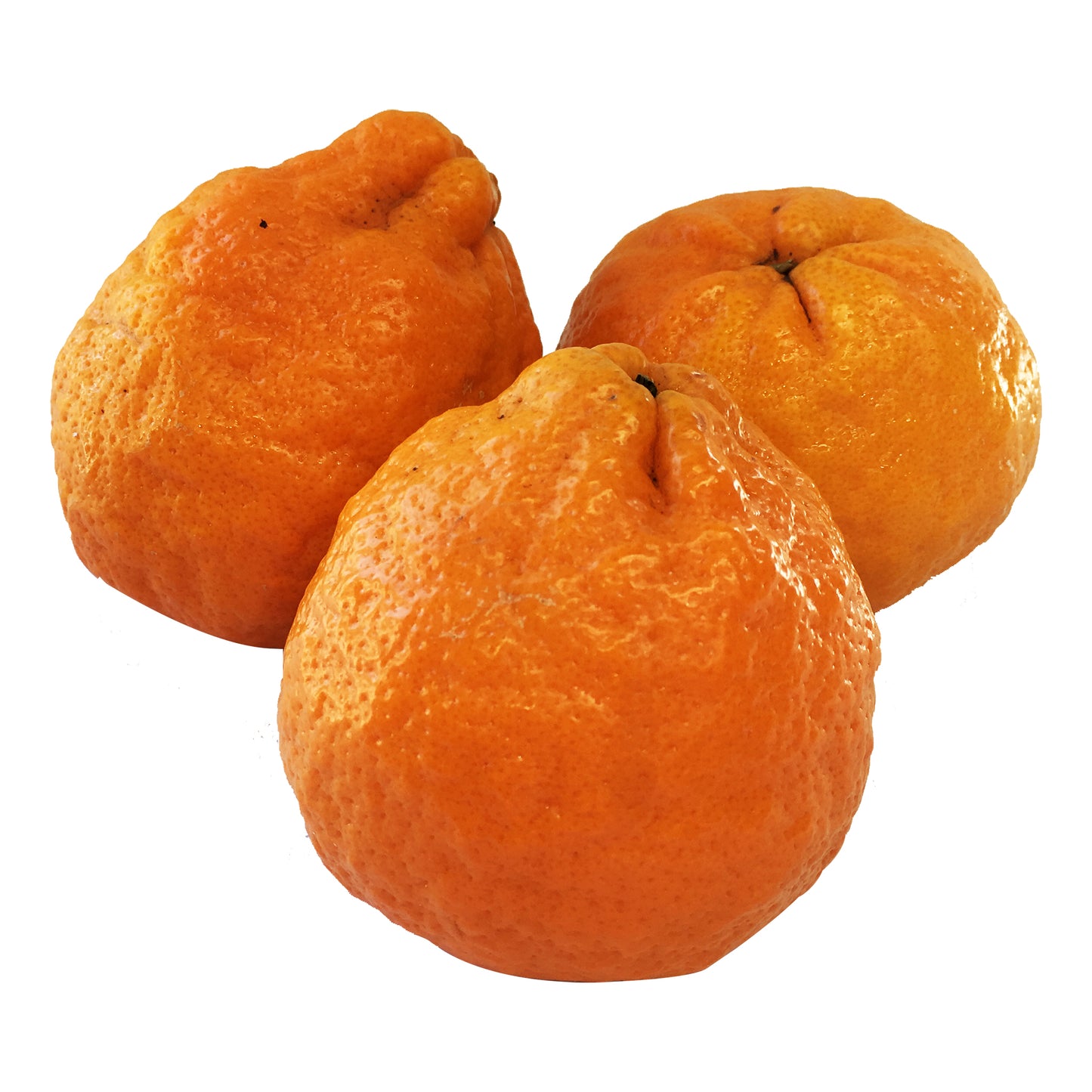 Mandarin Summerina Seedless Each